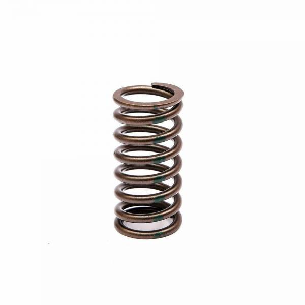VALVE SPRING - STIFFENED