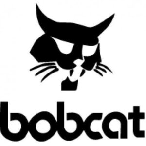 BOB CAT