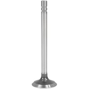 INTAKE VALVE