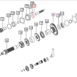 OILSEAL TRANS DRIVE SHAFT