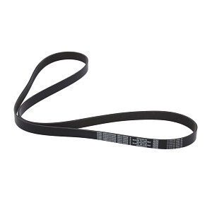 Engine main belt - 28.28 x 2076 - 8 Ribs #90413092