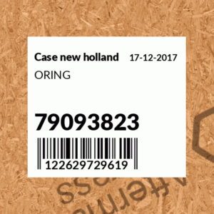 O-Ring